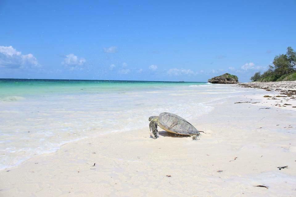 Villa Isla Del Amore Watamu Εξωτερικό φωτογραφία